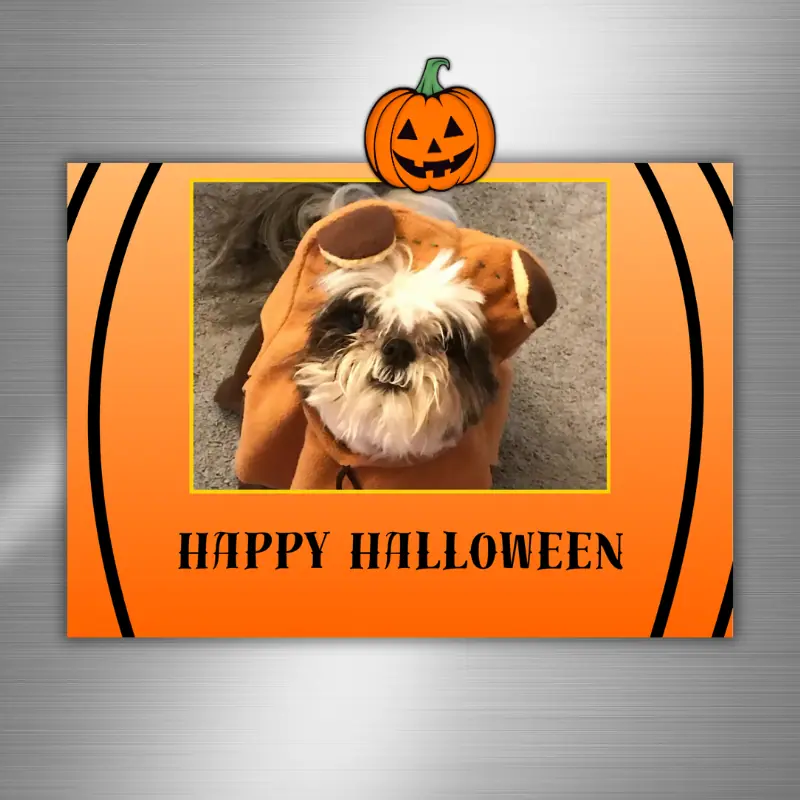 An orange Halloween photo card with pumpkin curves drawn in and a photo of a shitzu in an ewok costume. The words Happy Halloween are under the photo in a festive font.