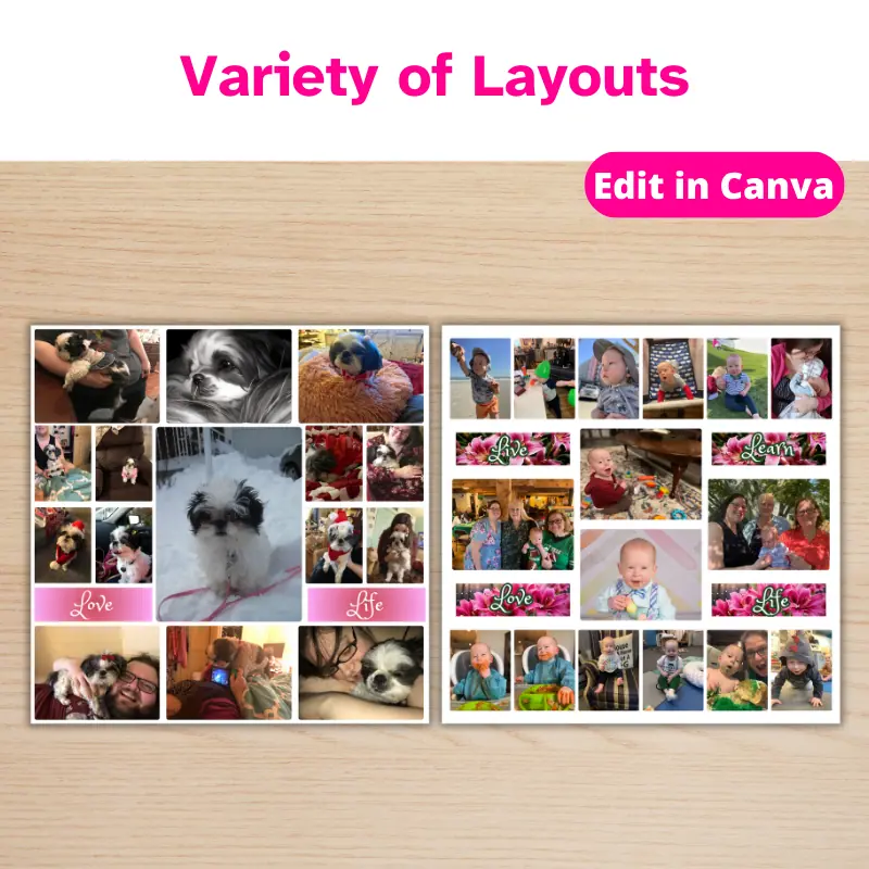 2 different photo collages on a table. One has 15 photos of a shitzu and her parents and the other has 16 photos of a baby boy and his family. variety of layouts.